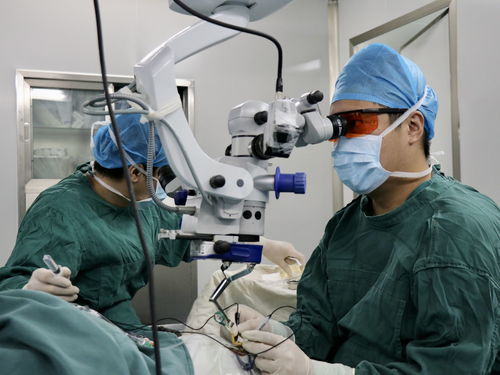 蚌埠市第二人民医院眼科 点亮 启明星 为民筑 睛 彩